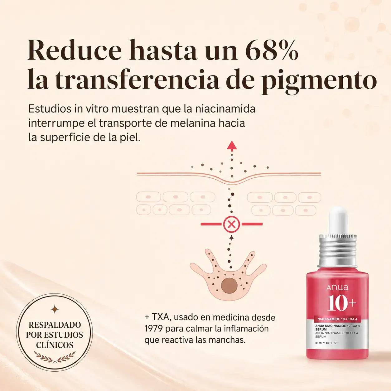 Anua Niacinamide 10 Txa 4 Serum